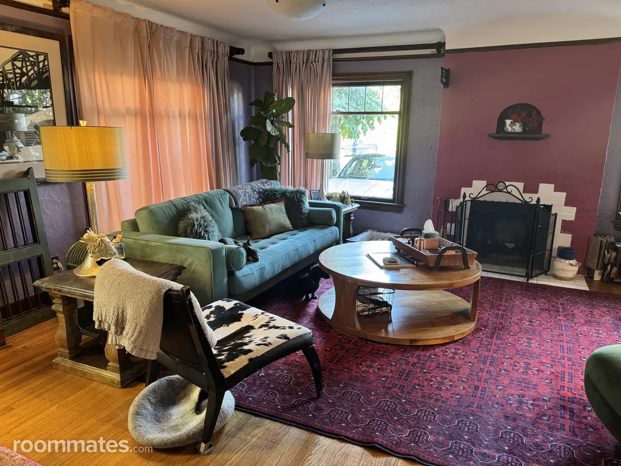 Profile photo 8 of 11