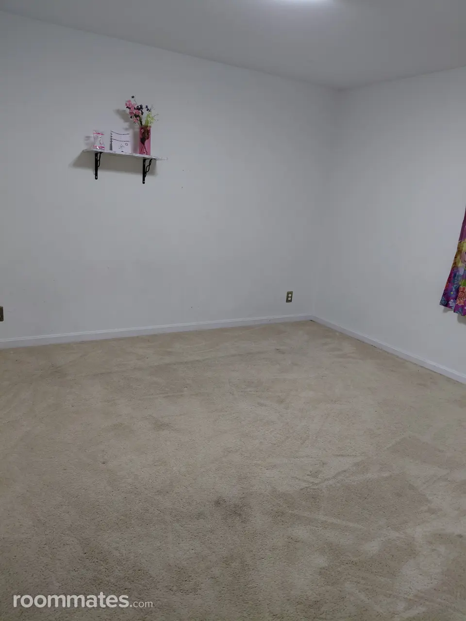 Profile photo 8 of 10