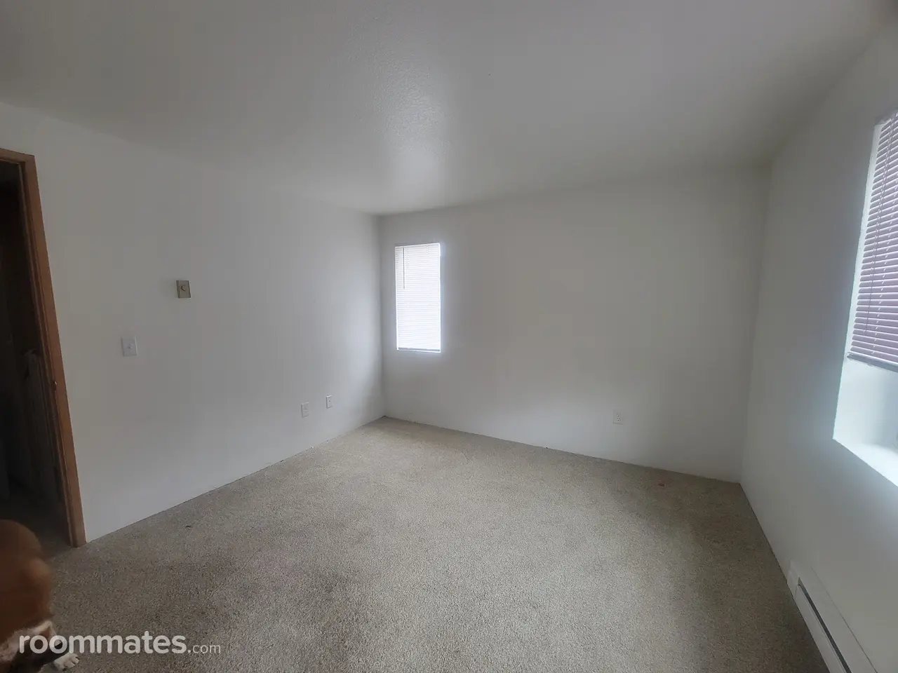 Profile photo 4 of 6