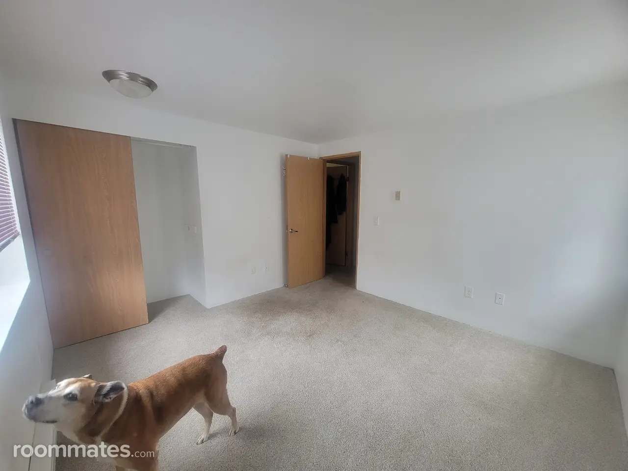 Profile photo 2 of 6