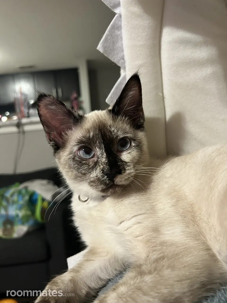 Profile photo 17 of 19