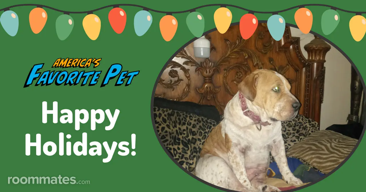 Profile photo 4 of 7