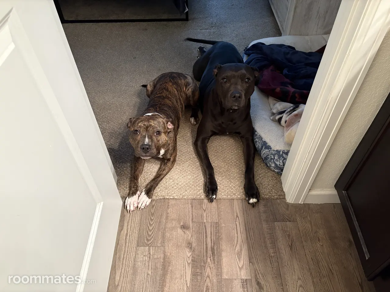 Profile photo 3 of 10