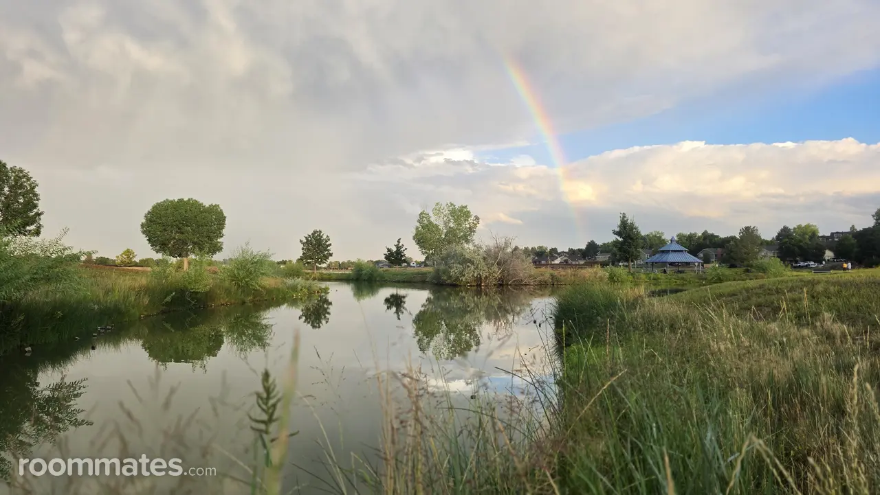 Profile photo 1 of 11