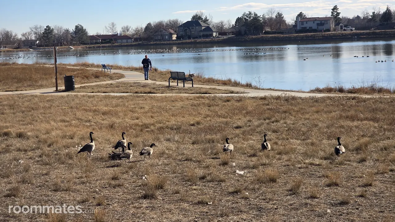 Profile photo 7 of 11