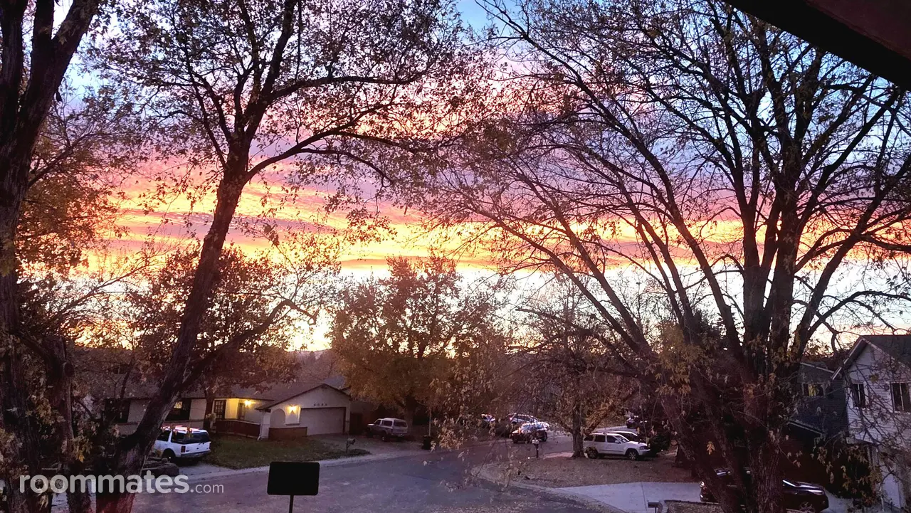 Profile photo 10 of 11