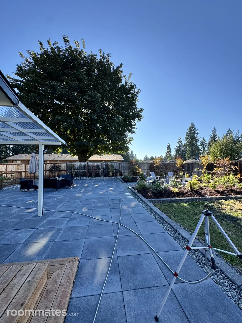 Profile photo 10 of 11