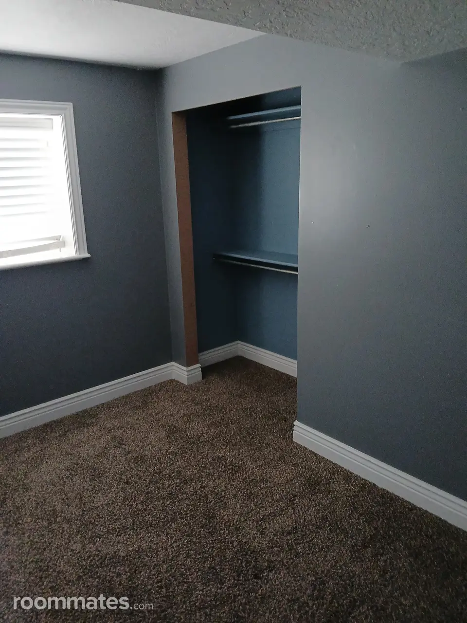 Profile photo 4 of 5