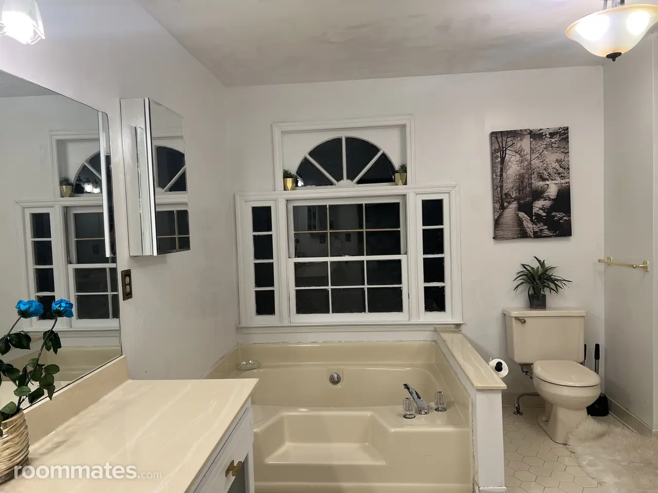 Profile photo 3 of 11