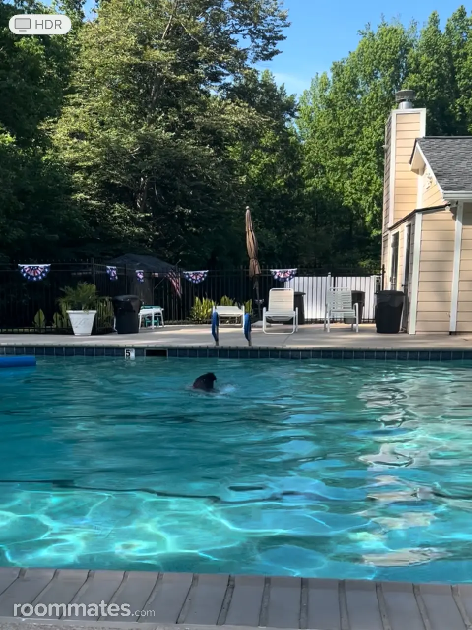 Profile photo 2 of 11