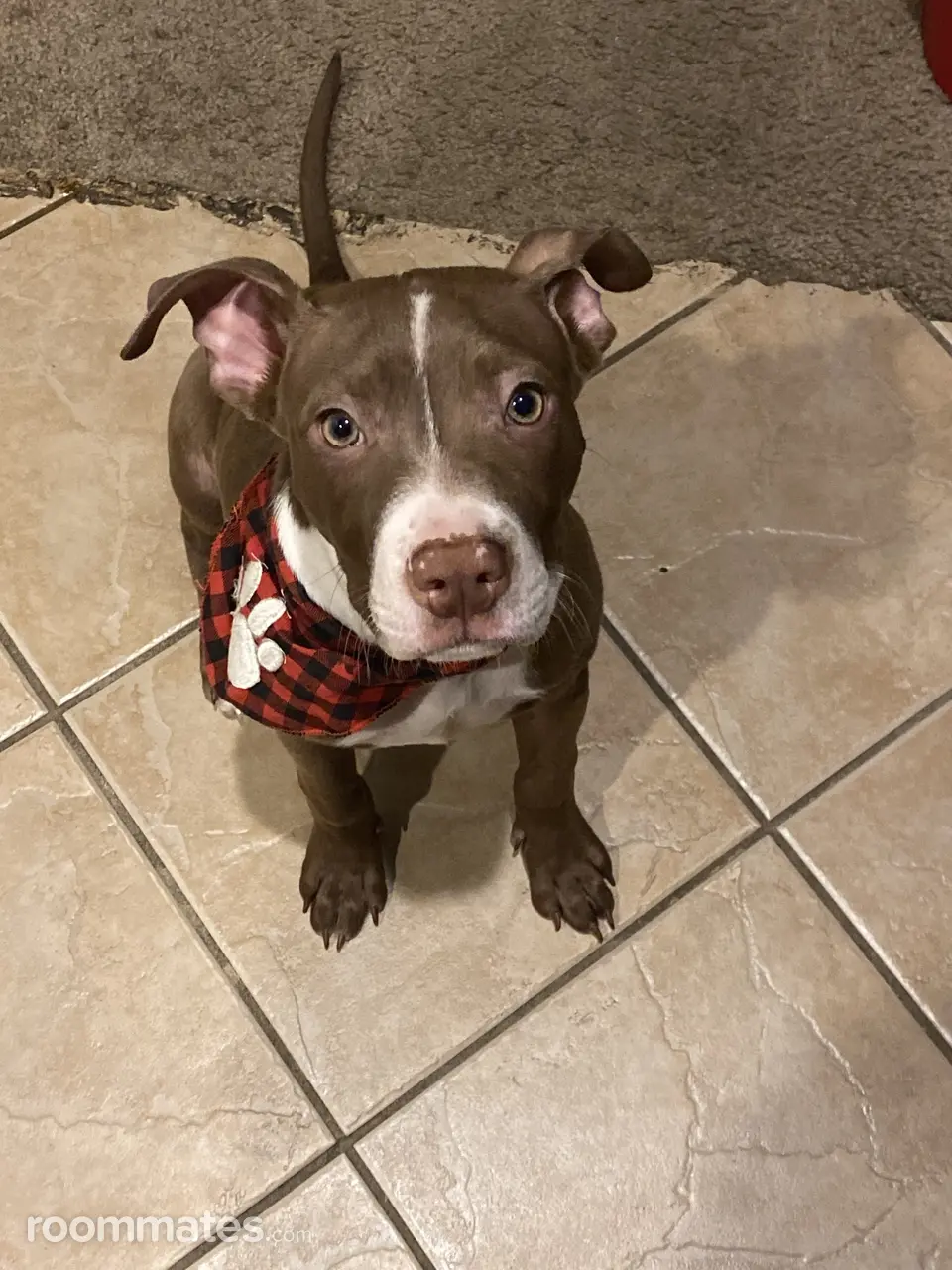 Profile photo 14 of 19