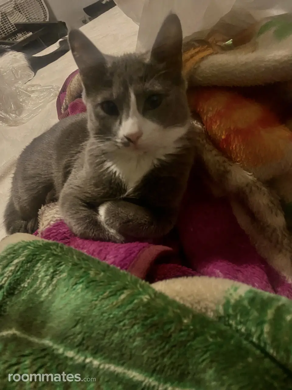 Profile photo 16 of 19