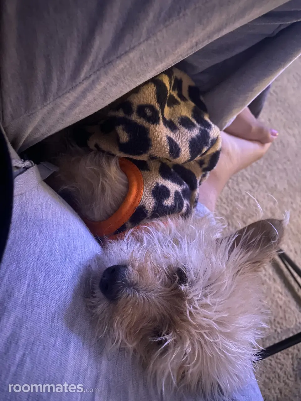 Profile photo 17 of 19