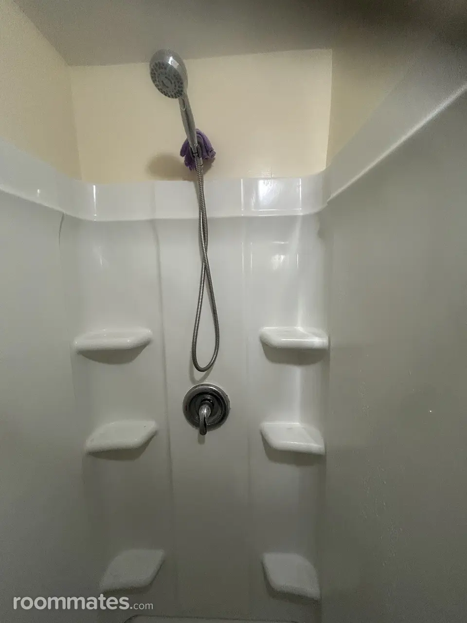 Profile photo 4 of 8