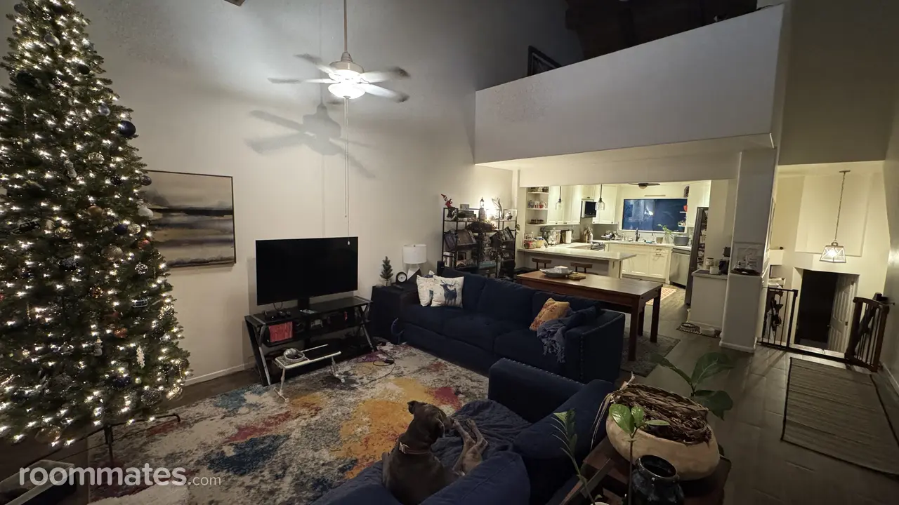 Profile photo 2 of 8