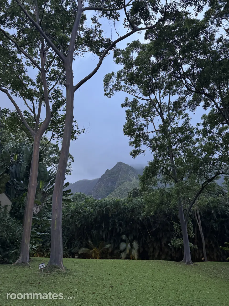 Profile photo 7 of 8