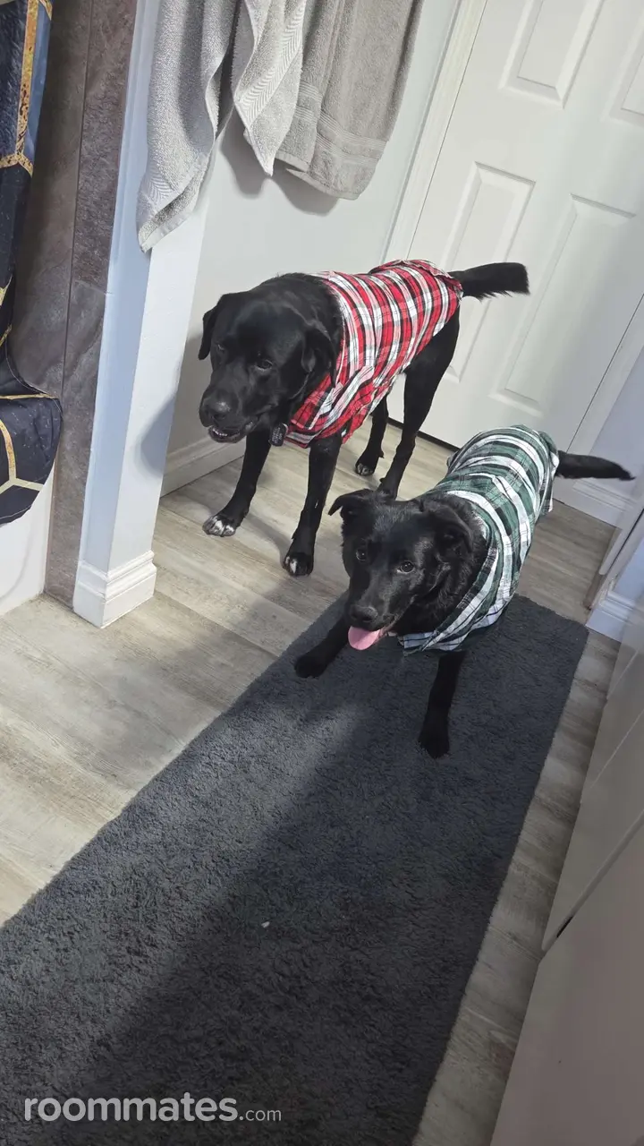 Profile photo 11 of 11