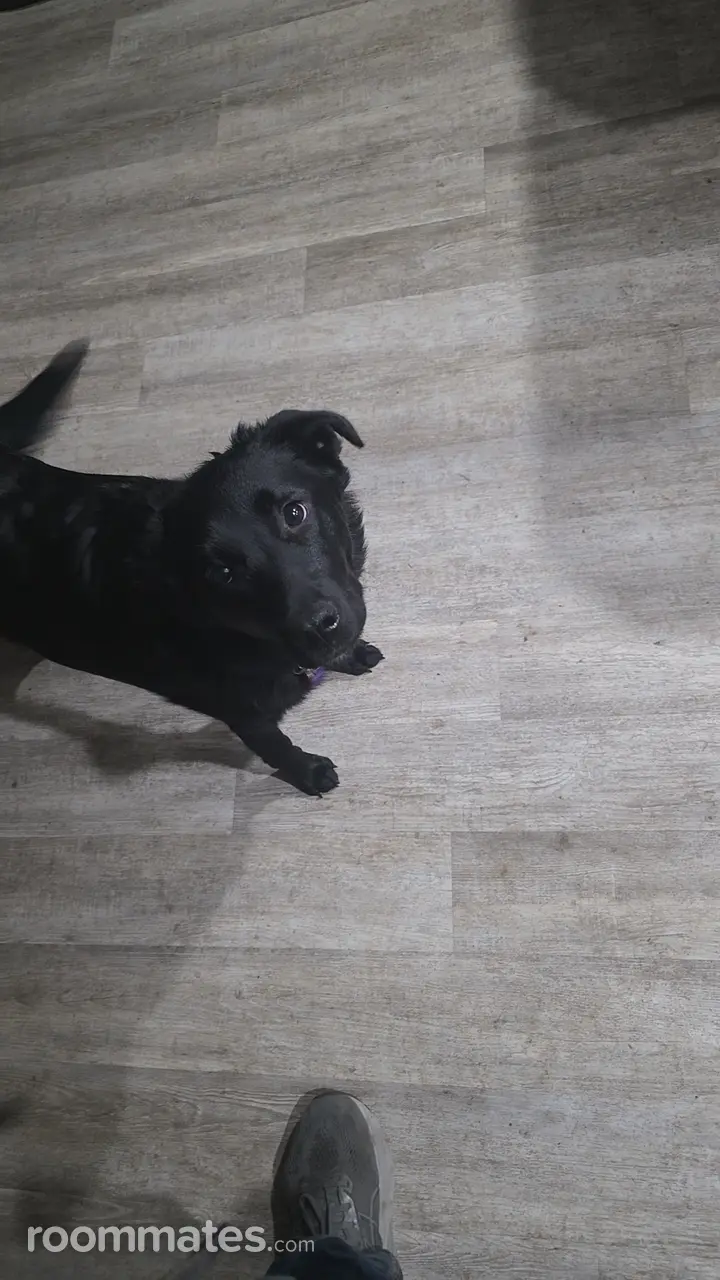 Profile photo 6 of 11