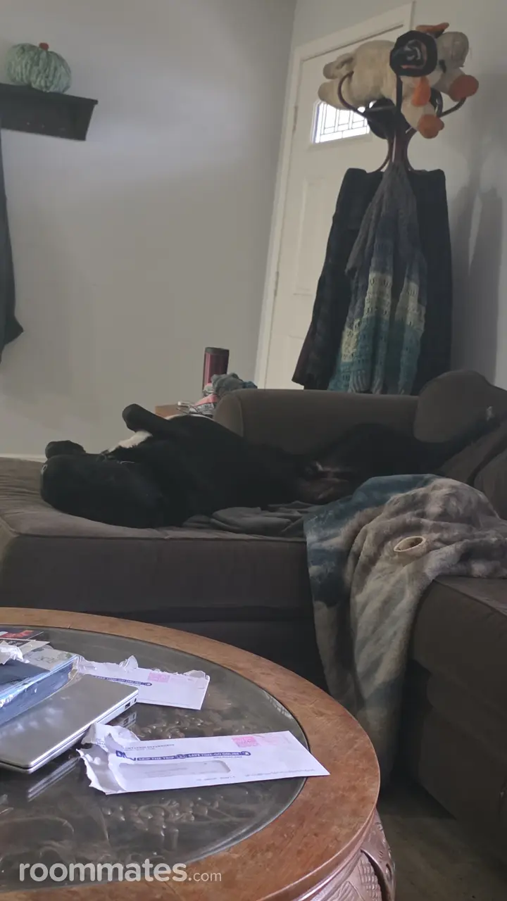 Profile photo 1 of 11