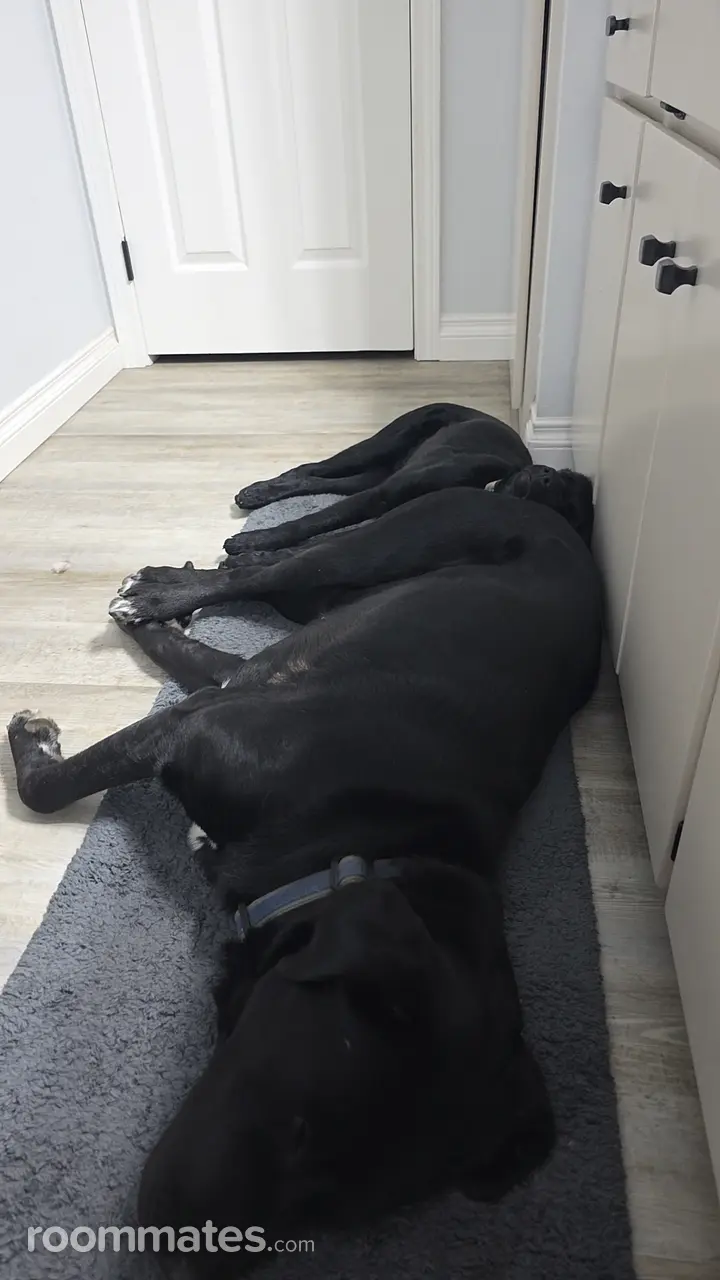 Profile photo 4 of 11