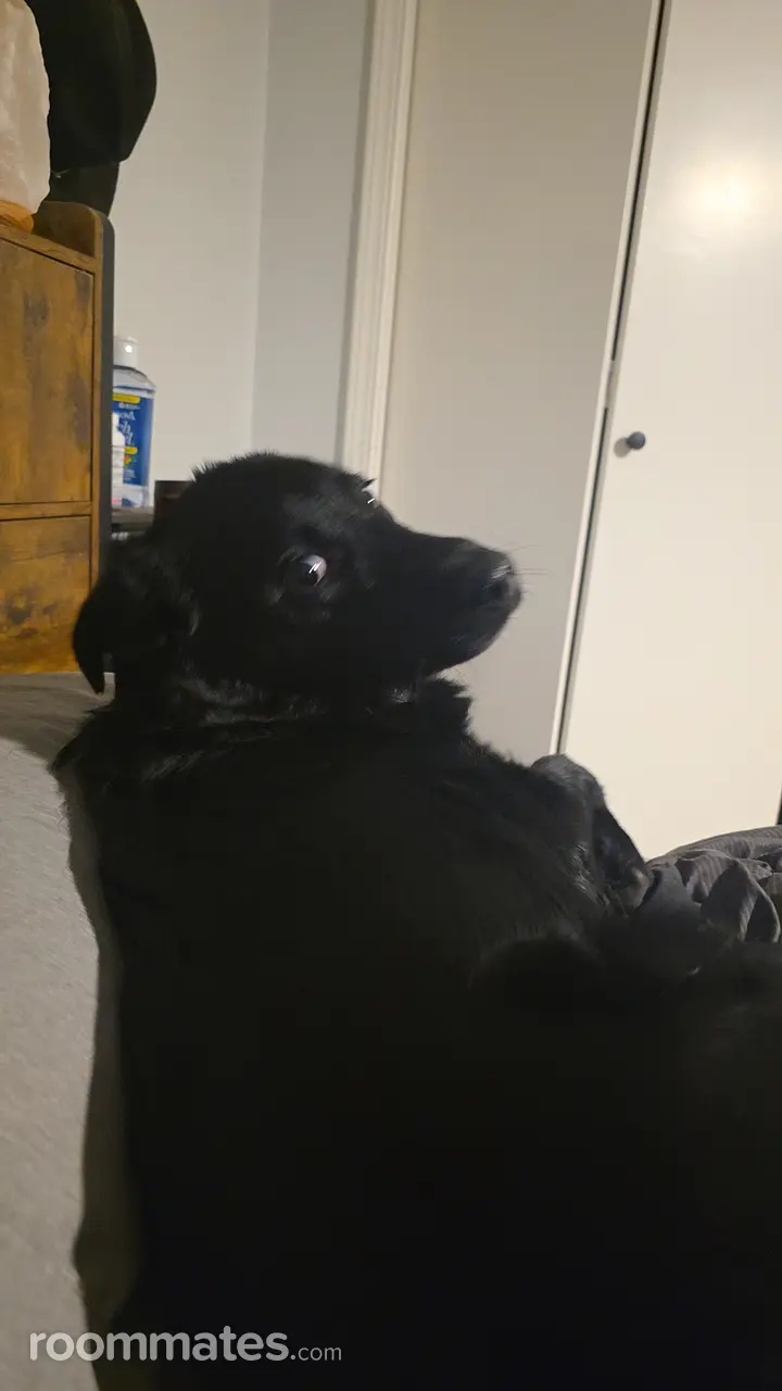 Profile photo 10 of 11