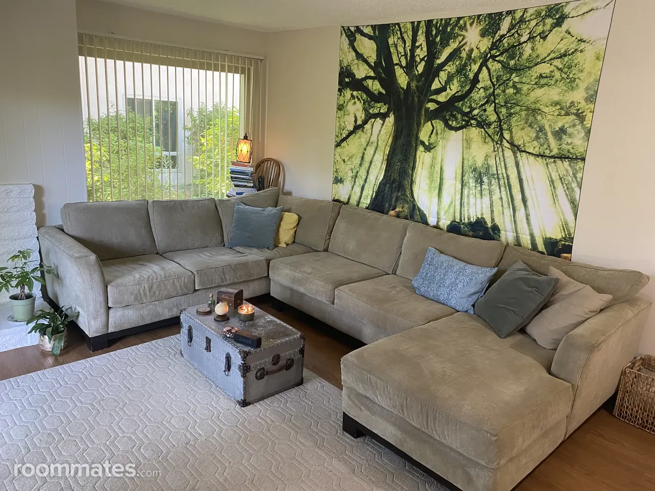 Profile photo 10 of 10