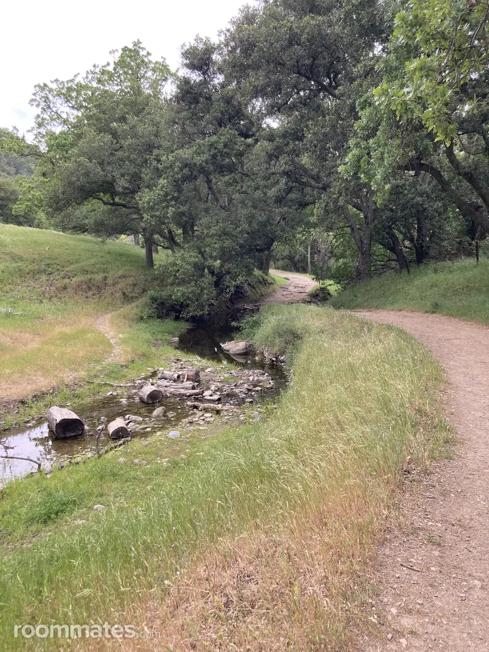 Profile photo 3 of 10