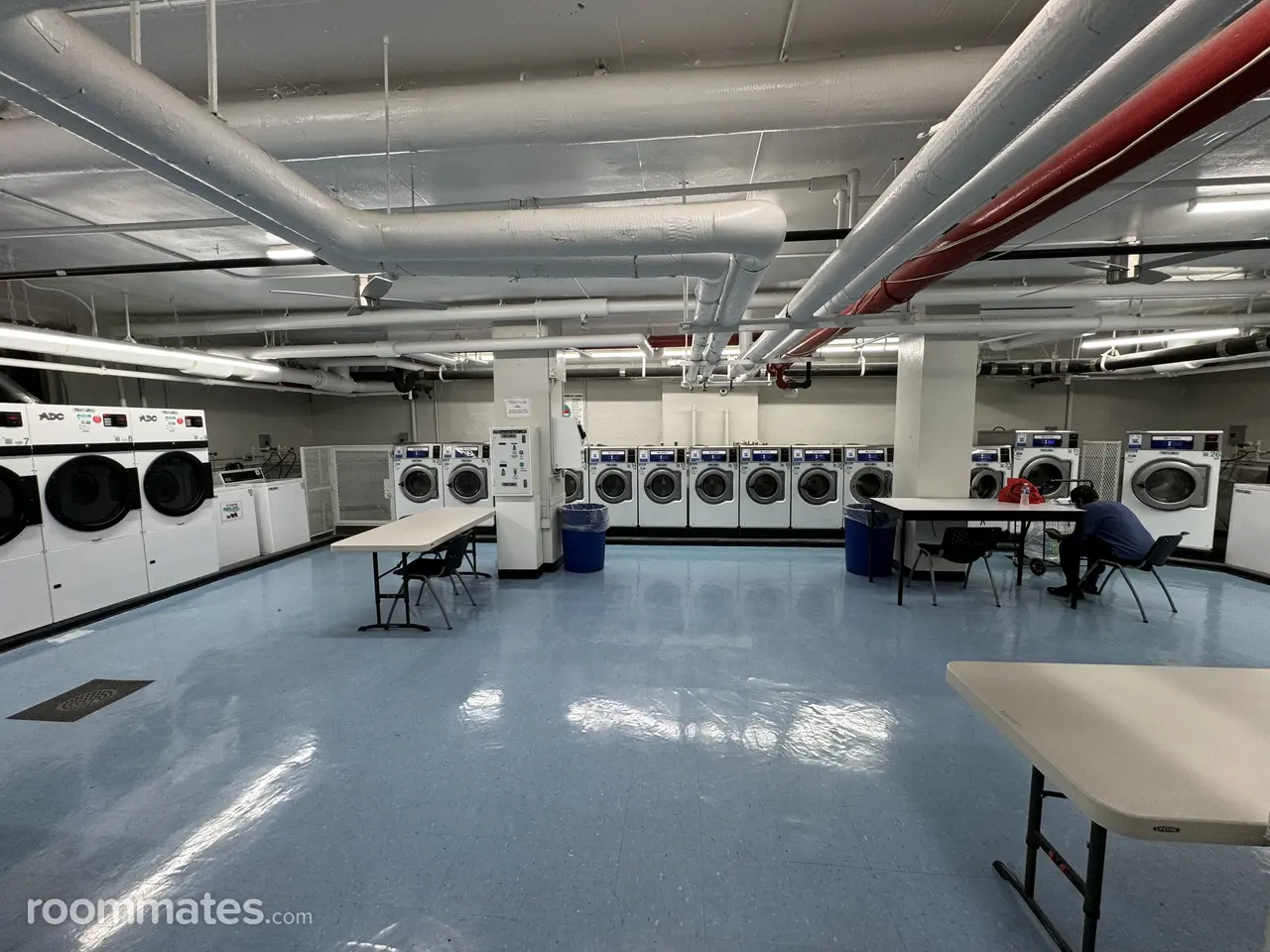 Profile photo 7 of 12