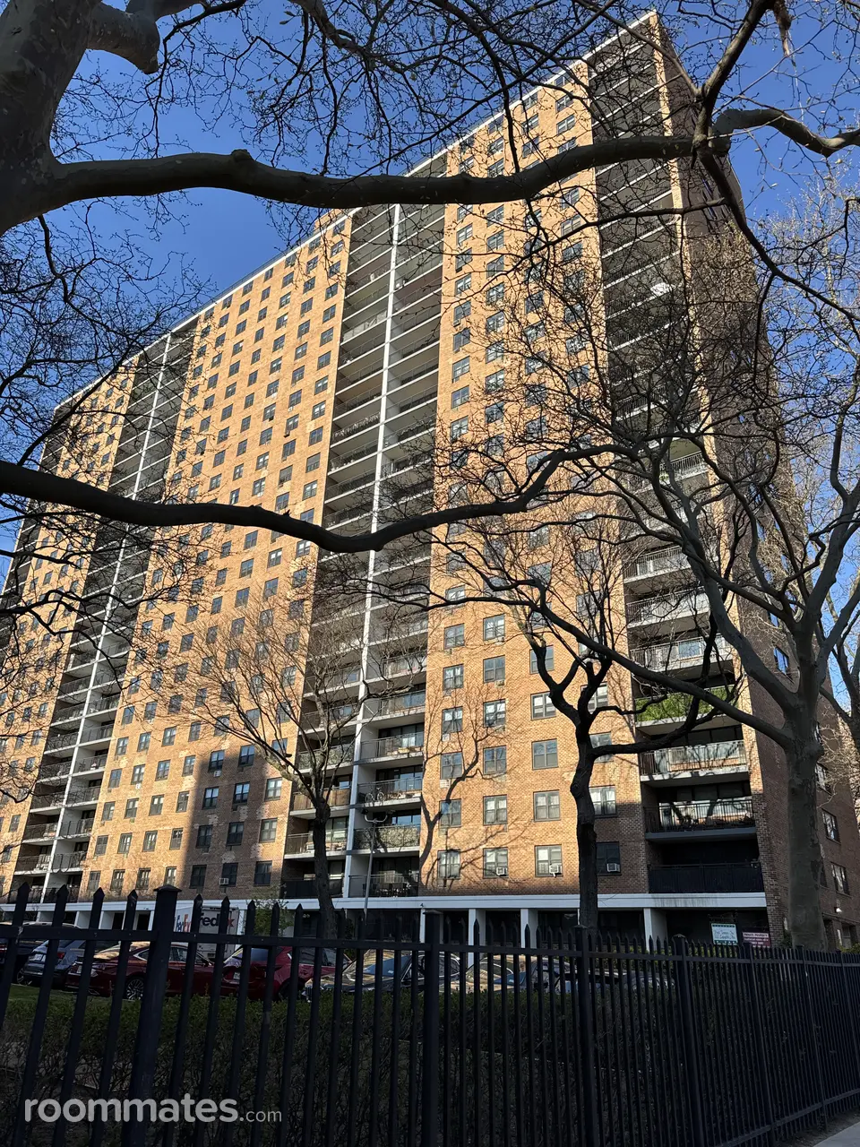 Profile photo 8 of 12