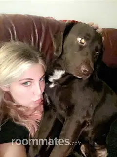 Roommate looking Pawleys Island, SC, $600