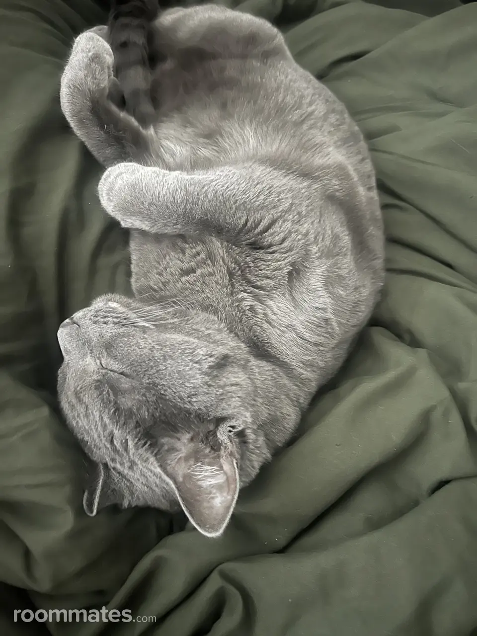 Profile photo 17 of 18