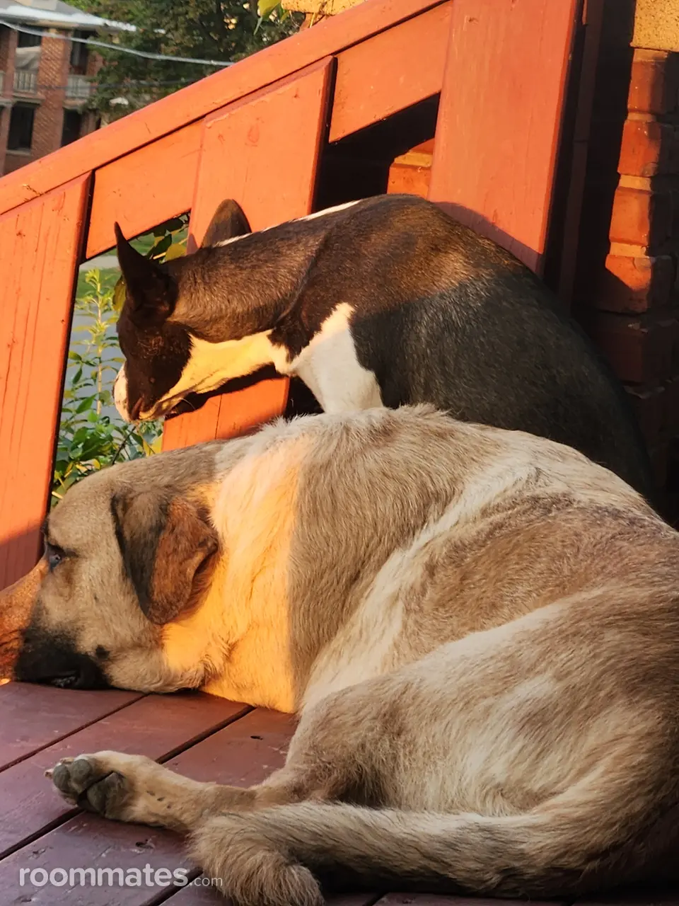 Profile photo 8 of 10