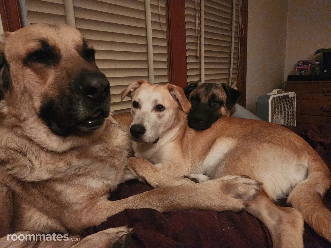 Profile photo 9 of 10