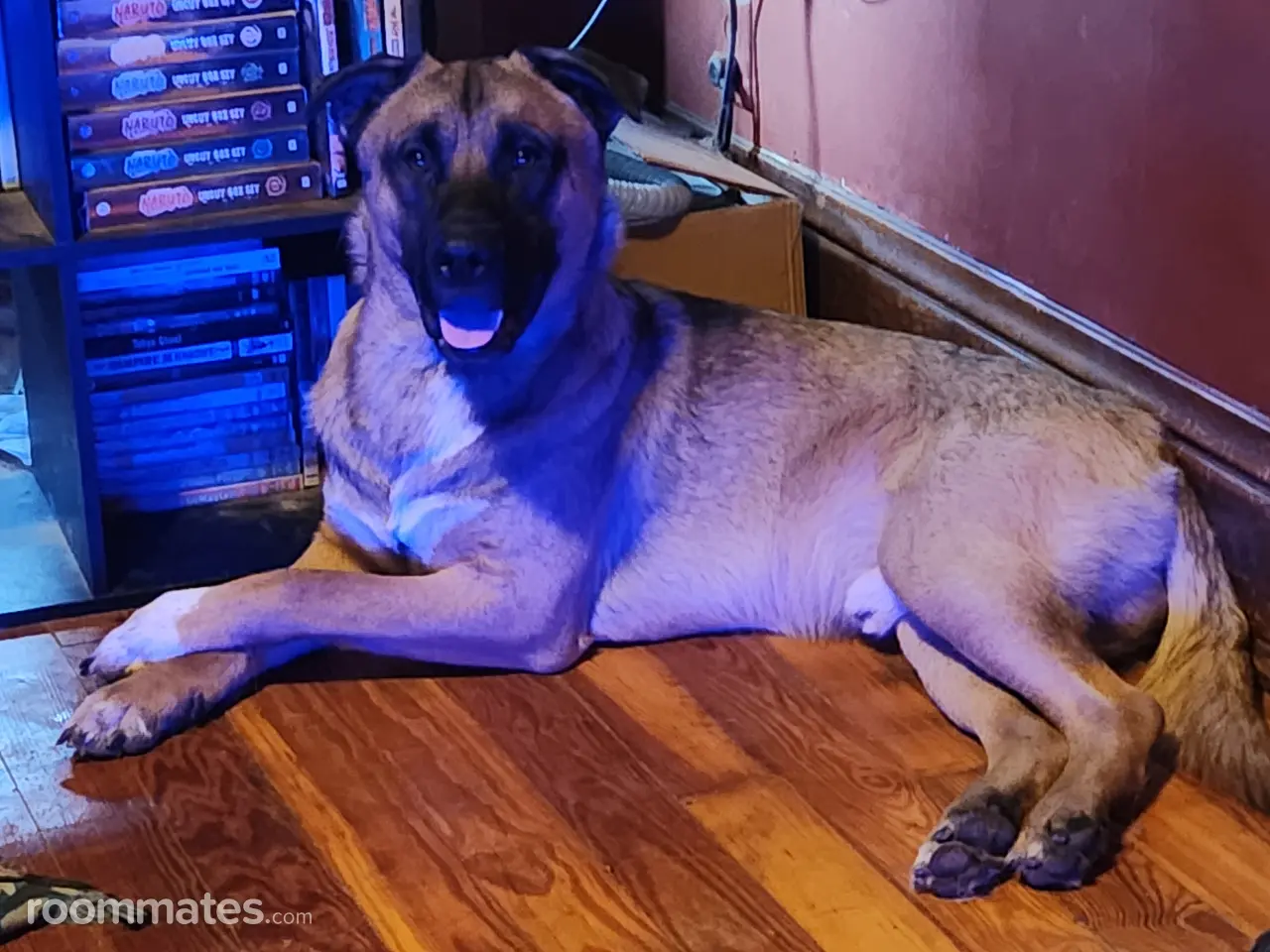 Profile photo 7 of 10