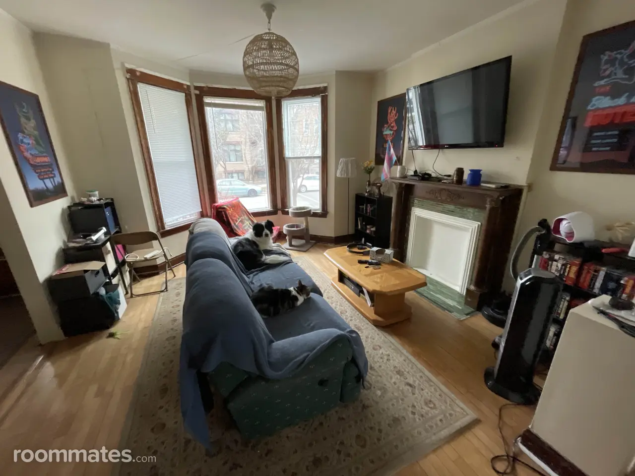 Profile photo 5 of 6