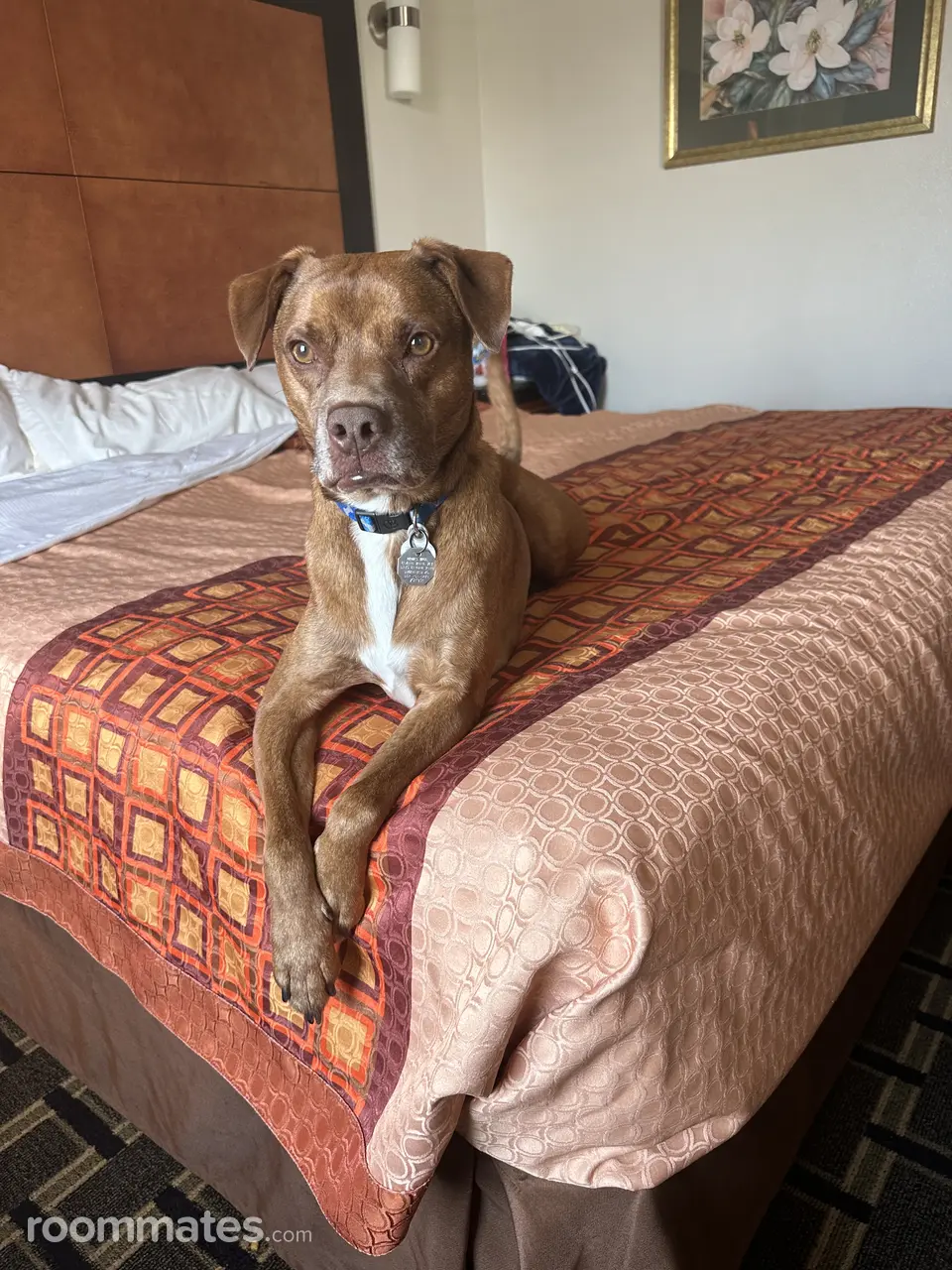 Profile photo 3 of 3