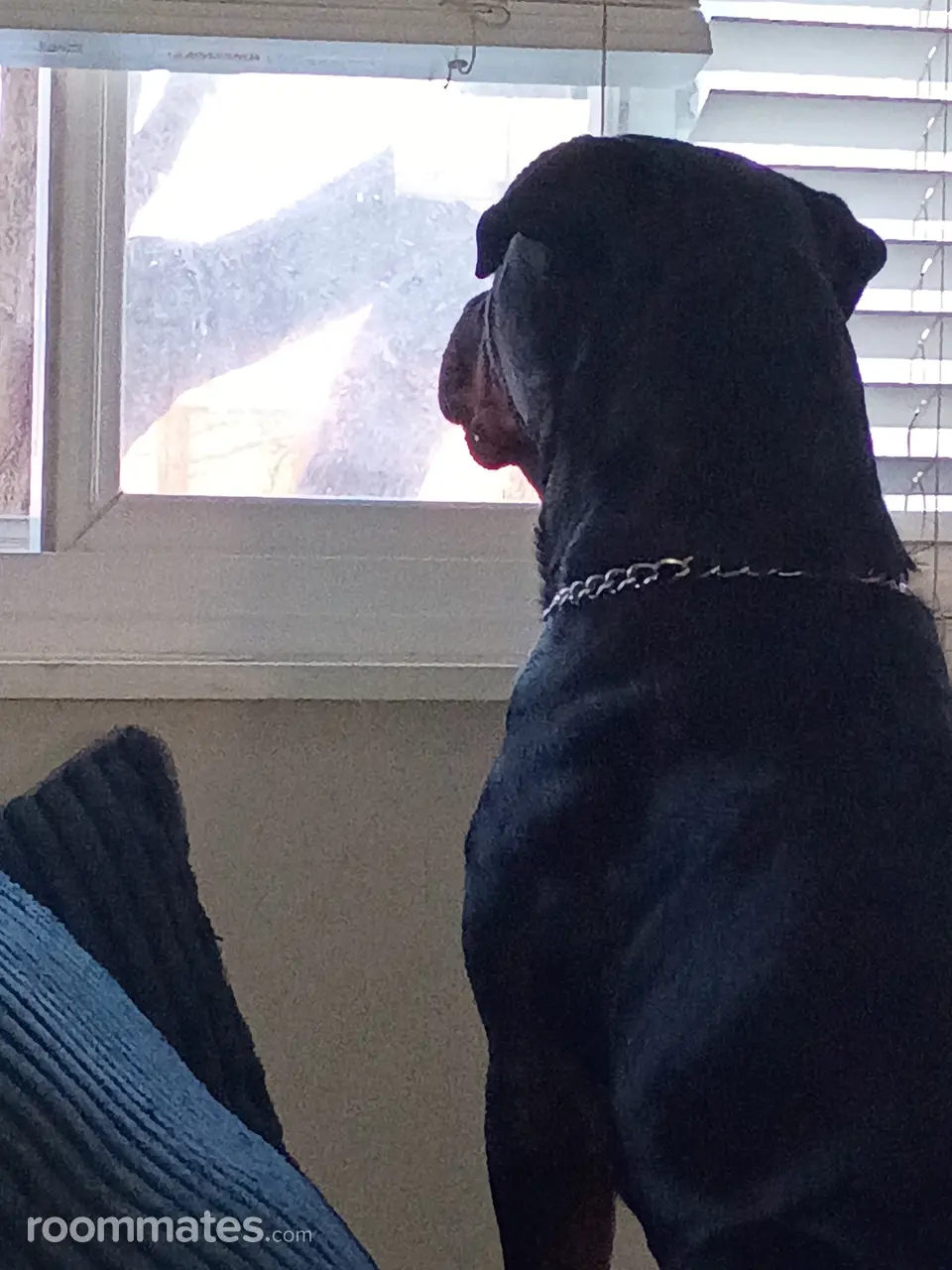 Profile photo 4 of 8