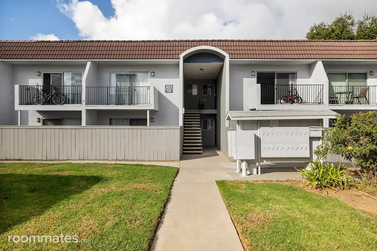 Profile photo 4 of 5