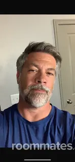 Roommate looking Katy, TX, $800