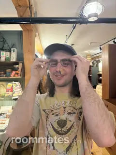 Roommate looking Troy, NY, $800