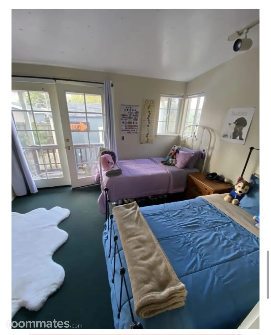 Profile photo 10 of 11