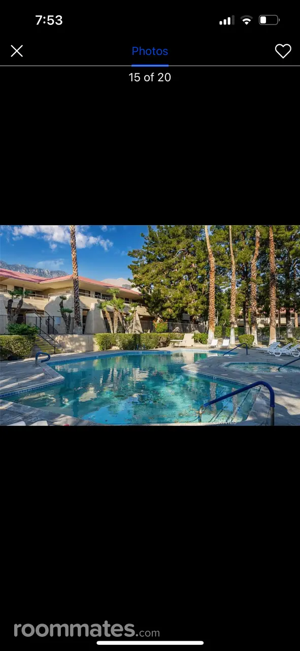 Profile photo 6 of 11