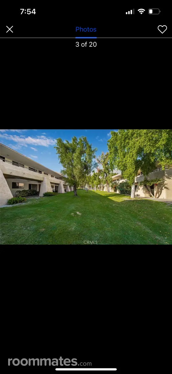 Profile photo 10 of 11