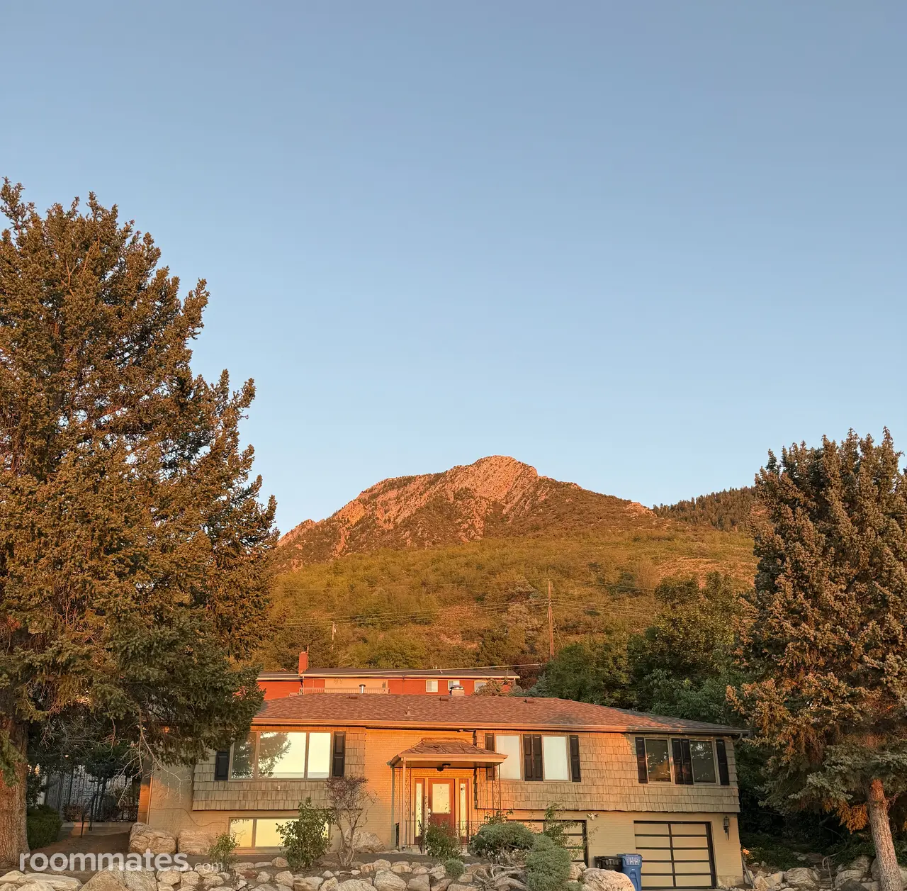 Profile photo 5 of 7