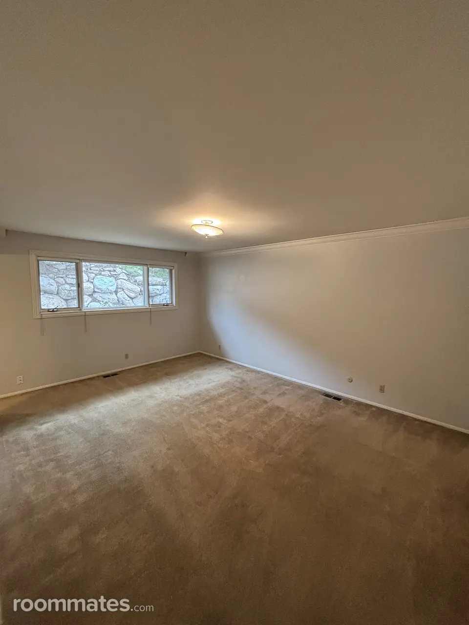 Profile photo 2 of 7