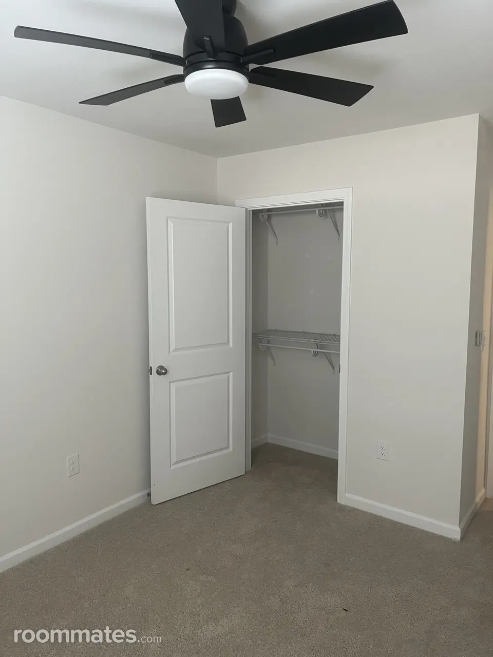 Profile photo 10 of 11