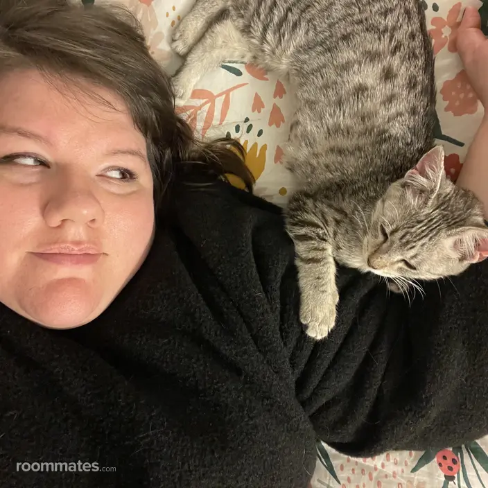 Roommate looking Evanston, IL, $1000