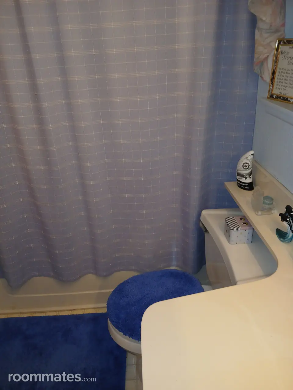 Profile photo 3 of 11