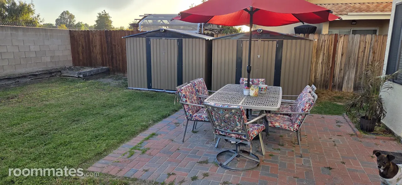 Profile photo 4 of 11