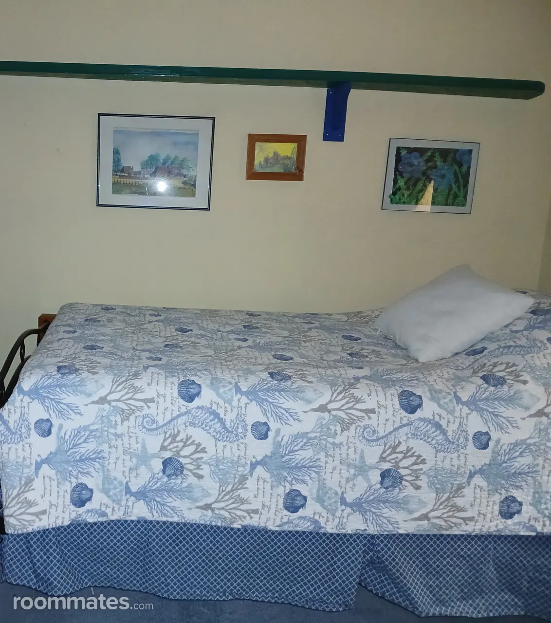 Profile photo 1 of 11